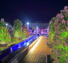 제13회(장미공원 야경)