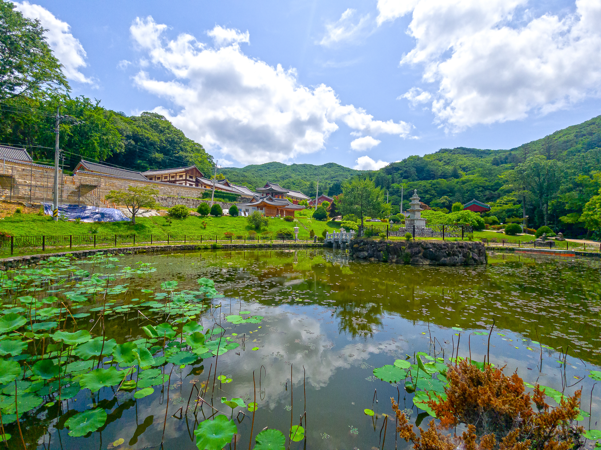 태안사 연못
