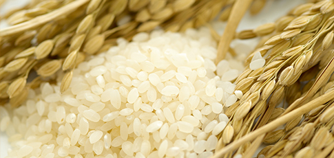 [사진] 곡성쌀