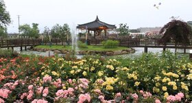 "제3회 곡성세계장미축제" 장미공원