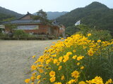 상한농촌체험휴양마을(하늘나리)