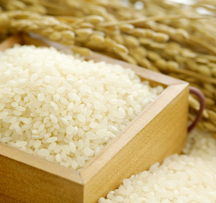 희고고운 곡성쌀