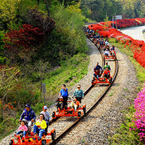꽃이핀 섬진강 철길을 따라 레일바이크를 즐기고 있는 사람들