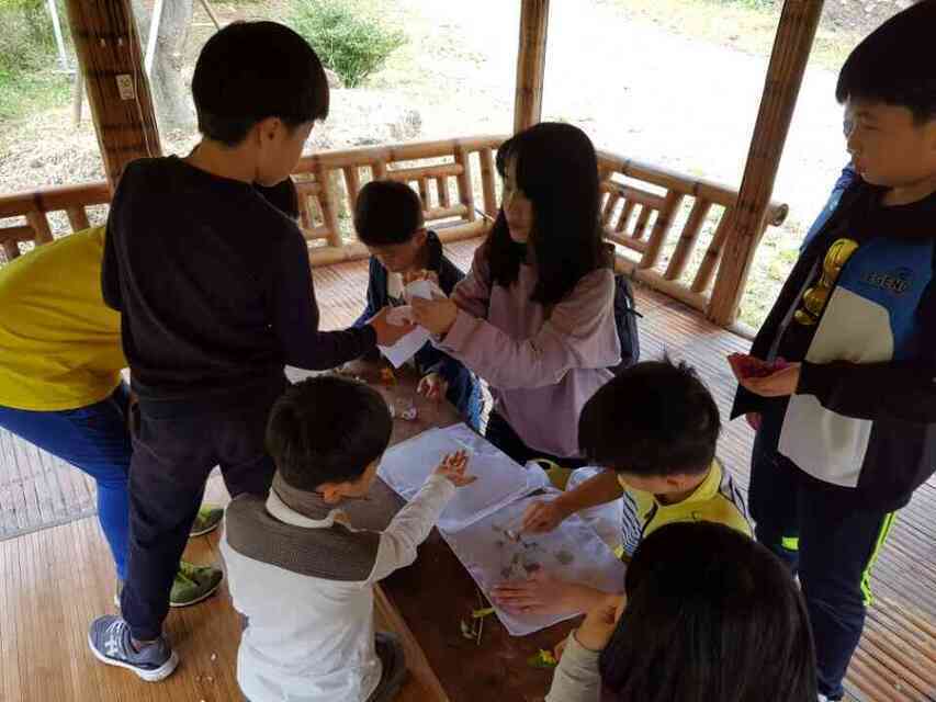 봉정농촌체험마을